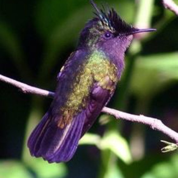 Meet your Posher, Sandra - Picture 2 of 8